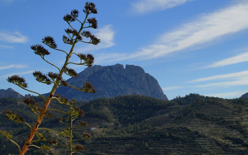 Alojamientos Turisticos Isa I Toni Sella Εξωτερικό φωτογραφία